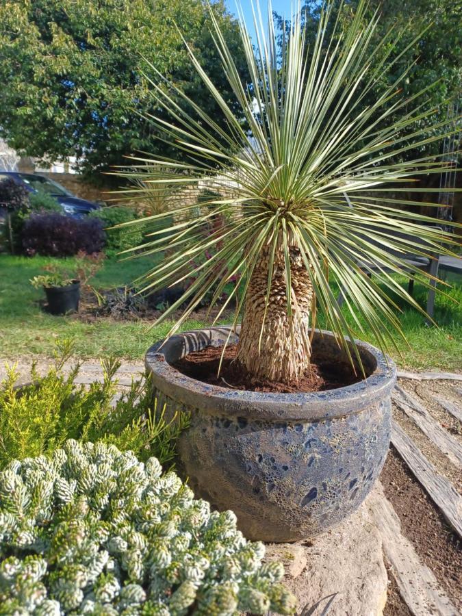 Le Banellou Bed and Breakfast Quimper Buitenkant foto