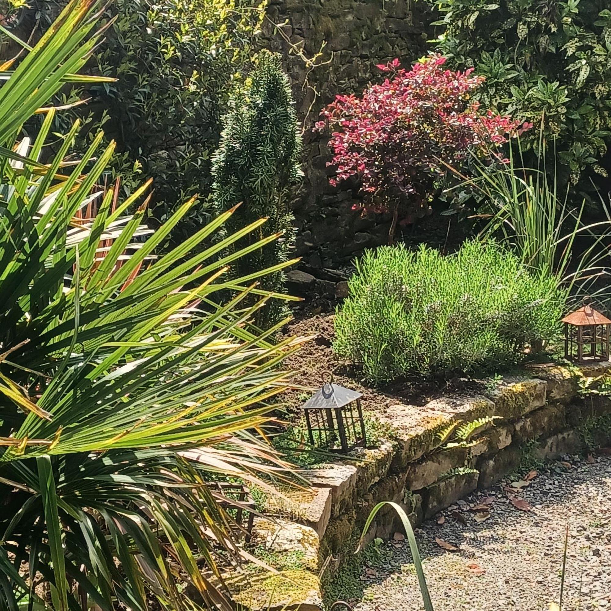 Le Banellou Bed and Breakfast Quimper Buitenkant foto