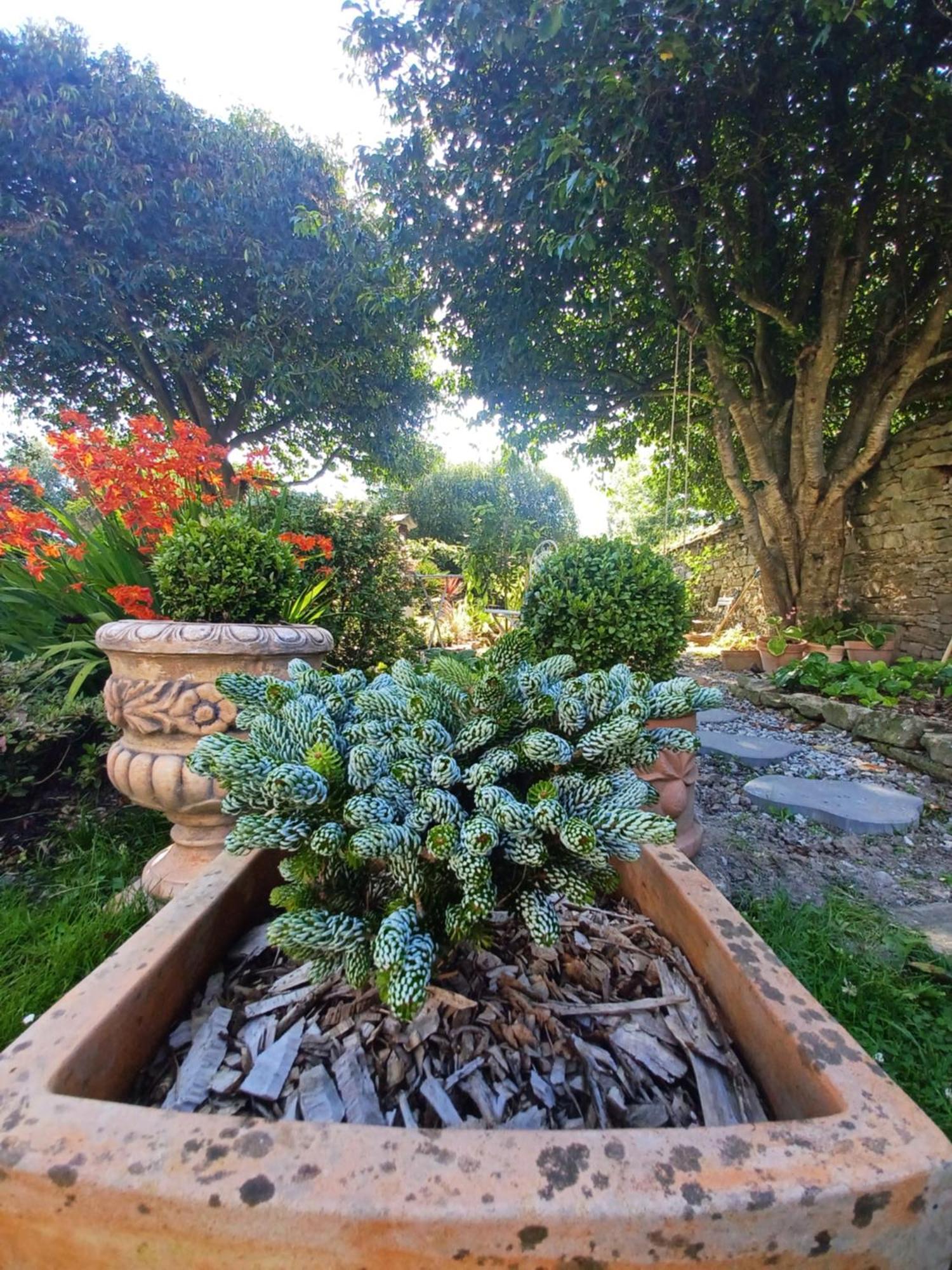Le Banellou Bed and Breakfast Quimper Buitenkant foto