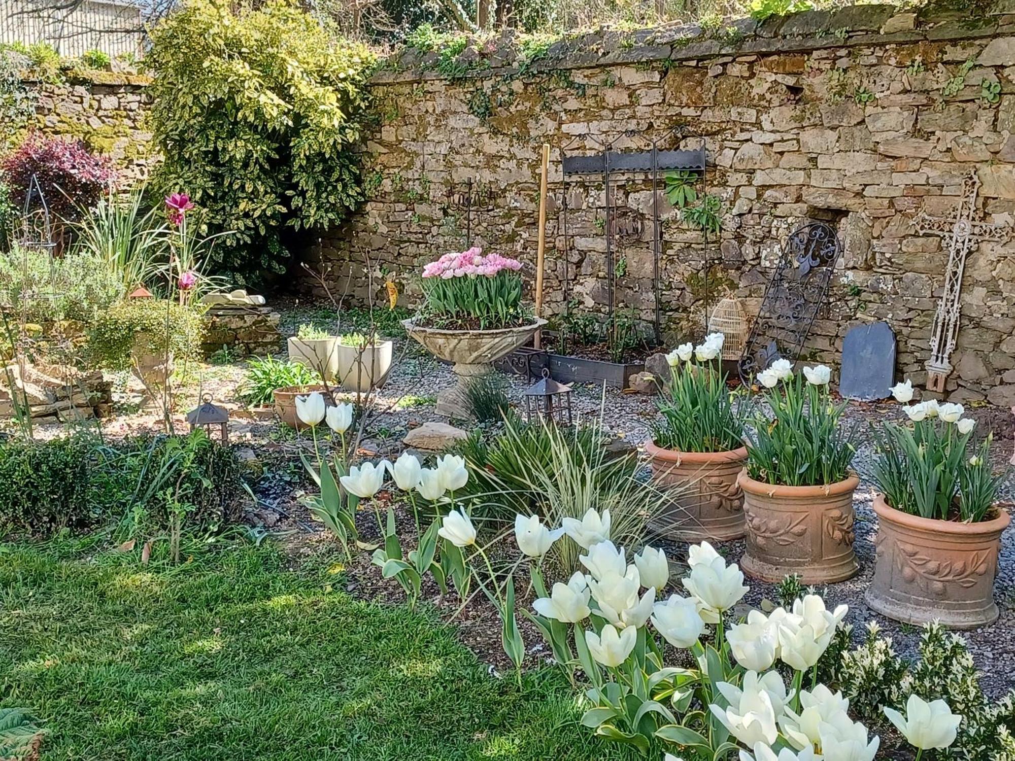 Le Banellou Bed and Breakfast Quimper Buitenkant foto