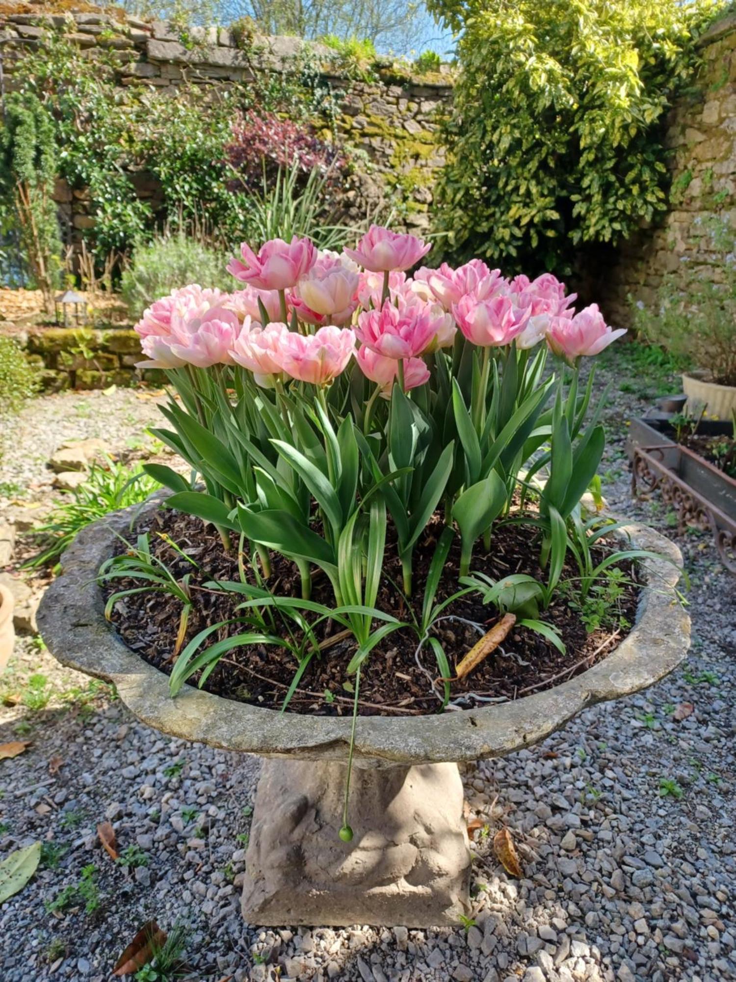 Le Banellou Bed and Breakfast Quimper Buitenkant foto