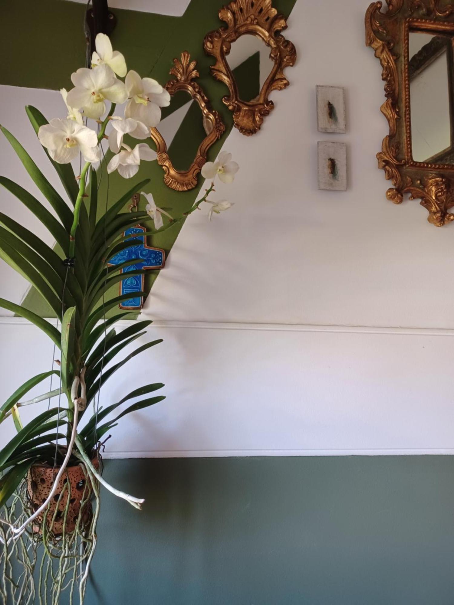 Le Banellou Bed and Breakfast Quimper Buitenkant foto