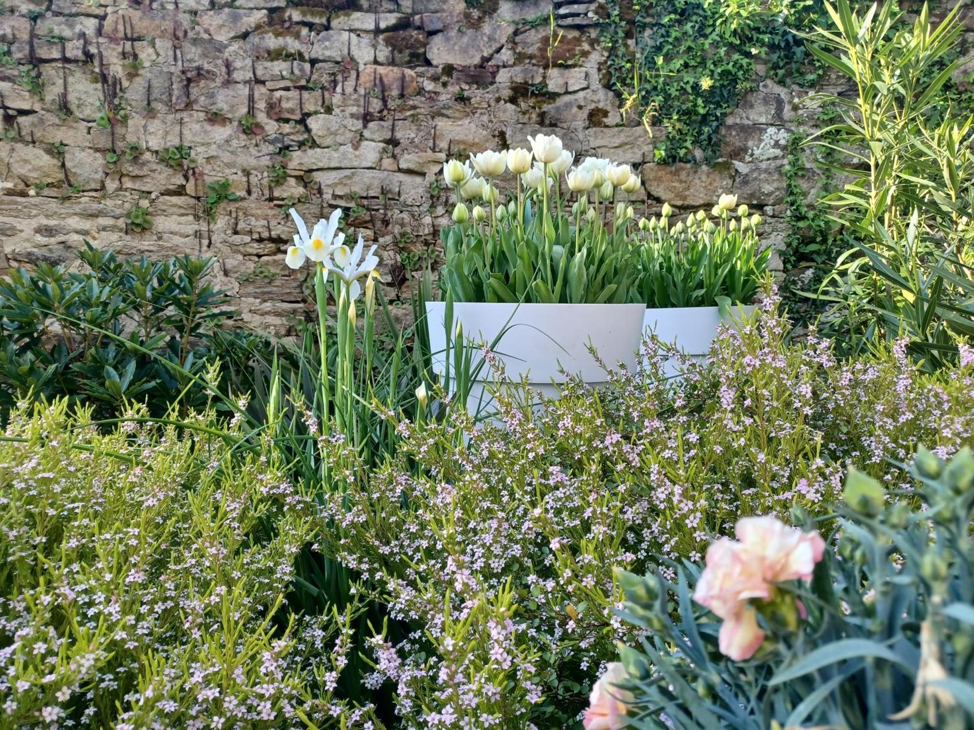Le Banellou Bed and Breakfast Quimper Buitenkant foto